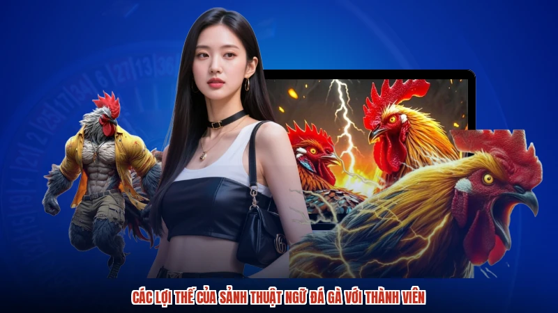Các lợi thế của sảnh thuật ngữ đá gà với thành viên