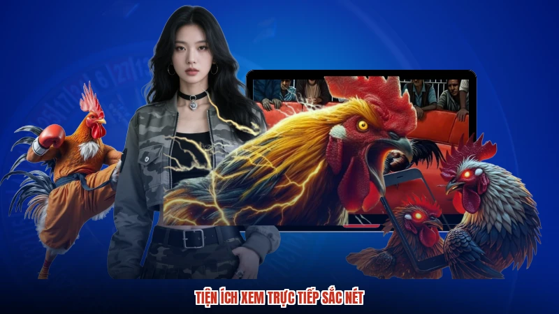Tiện ích xem trực tiếp sắc nét