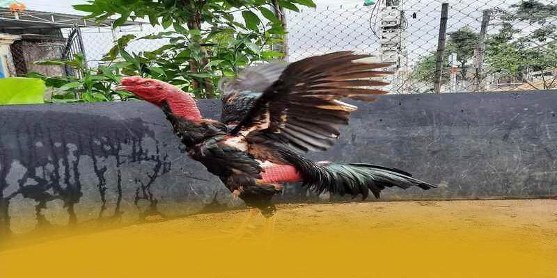 Bảo mật thông tin người dùng tại [THUONG_HIEU]