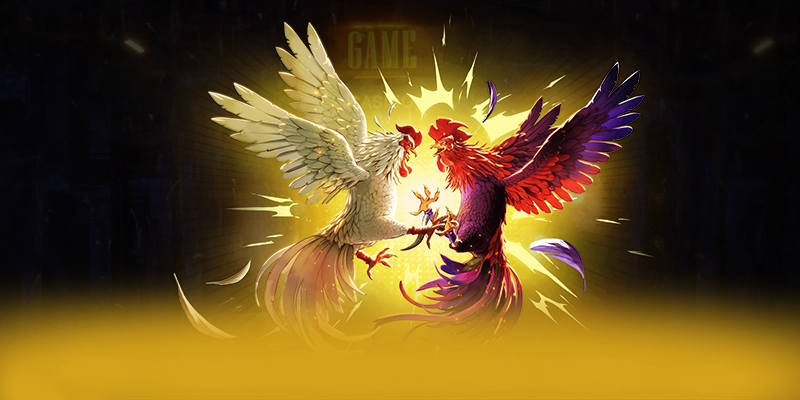 Nhận xét từ game thủ về 8XBET